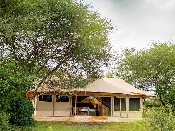 Angata Tarangire Camp image #13