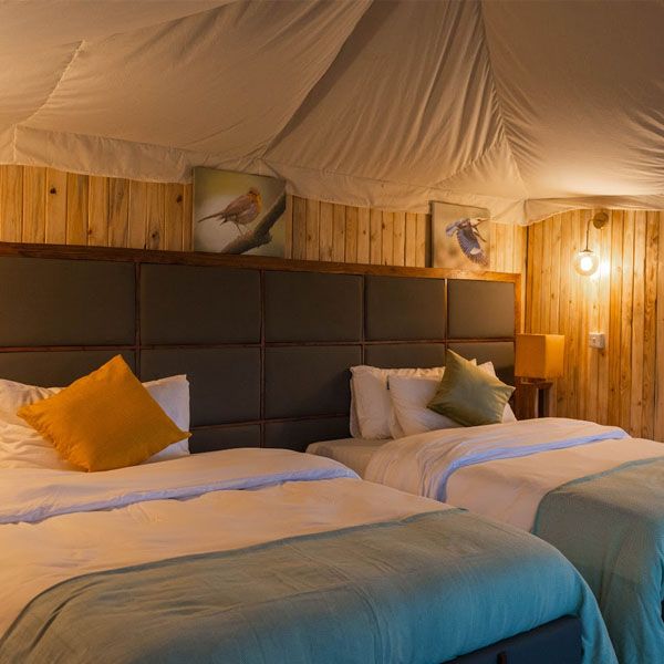 Angata Tarangire Camp image #16