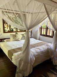 Arumeru River Lodge image #5