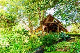 Arumeru River Lodge image #7