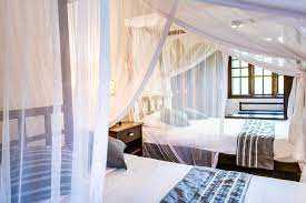 Arumeru River Lodge image #3
