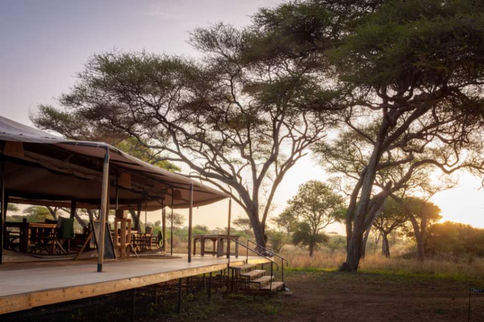Baobab Tarangire Tented Camp image #9