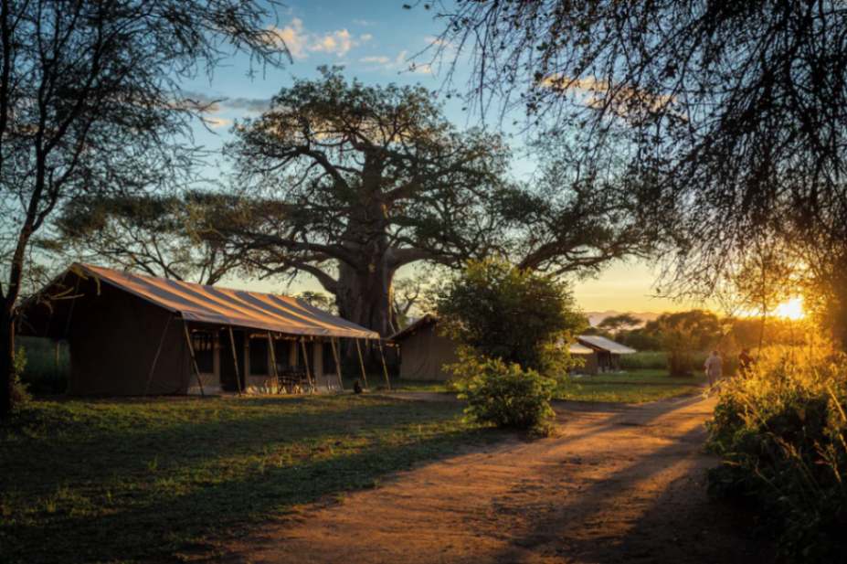Baobab Tarangire Tented Camp image #10