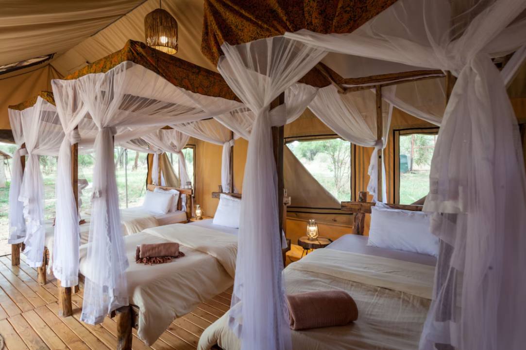 Baobab Tarangire Tented Camp image #6