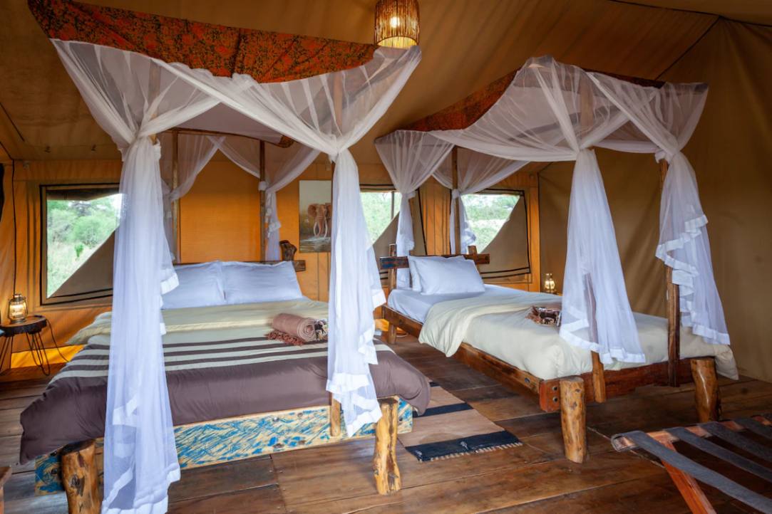 Baobab Tarangire Tented Camp image #1