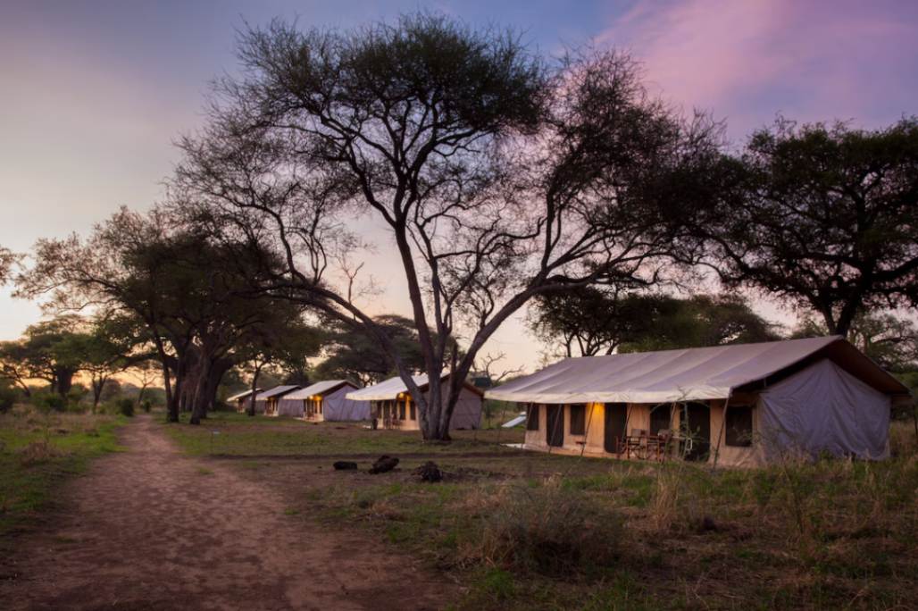 Baobab Tarangire Tented Camp image #11