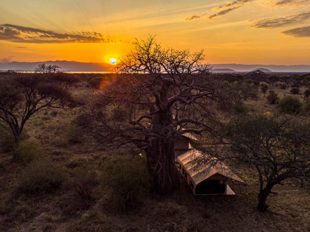 Baobab Tarangire Tented Camp image #2