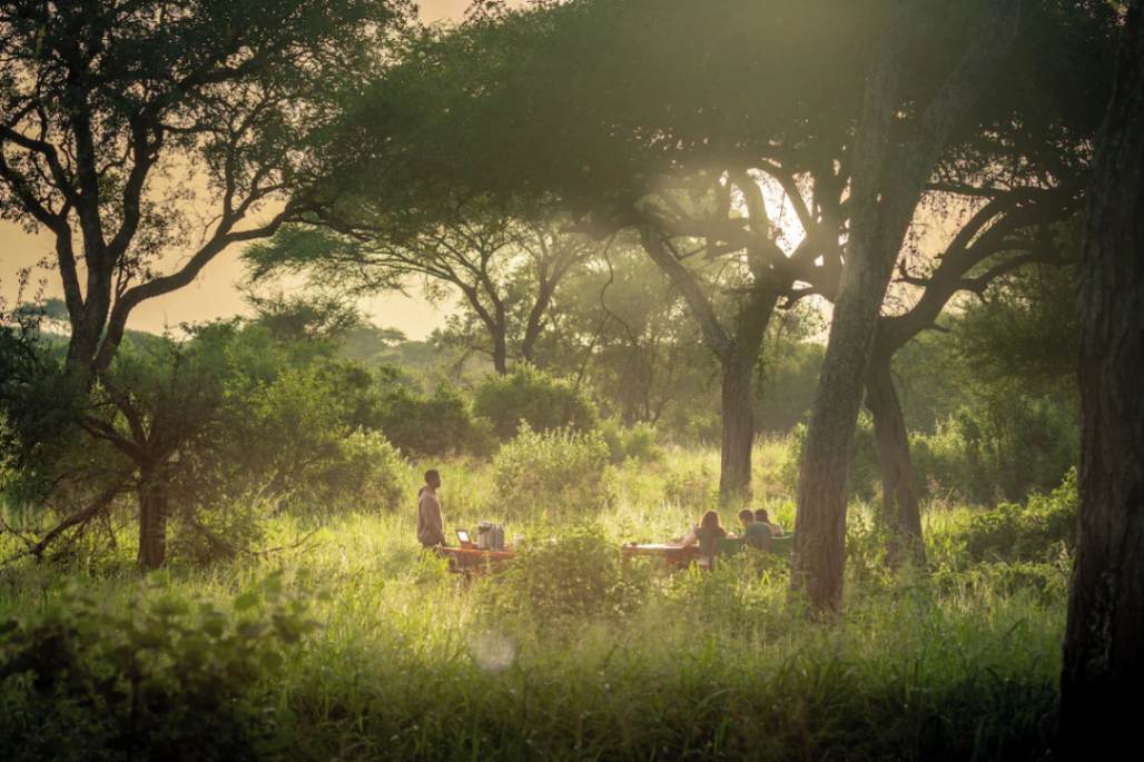 Baobab Tarangire Tented Camp image #7