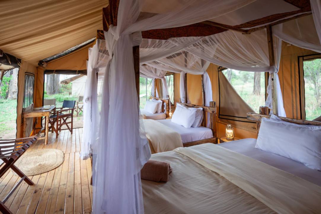 Baobab Tarangire Tented Camp image #12