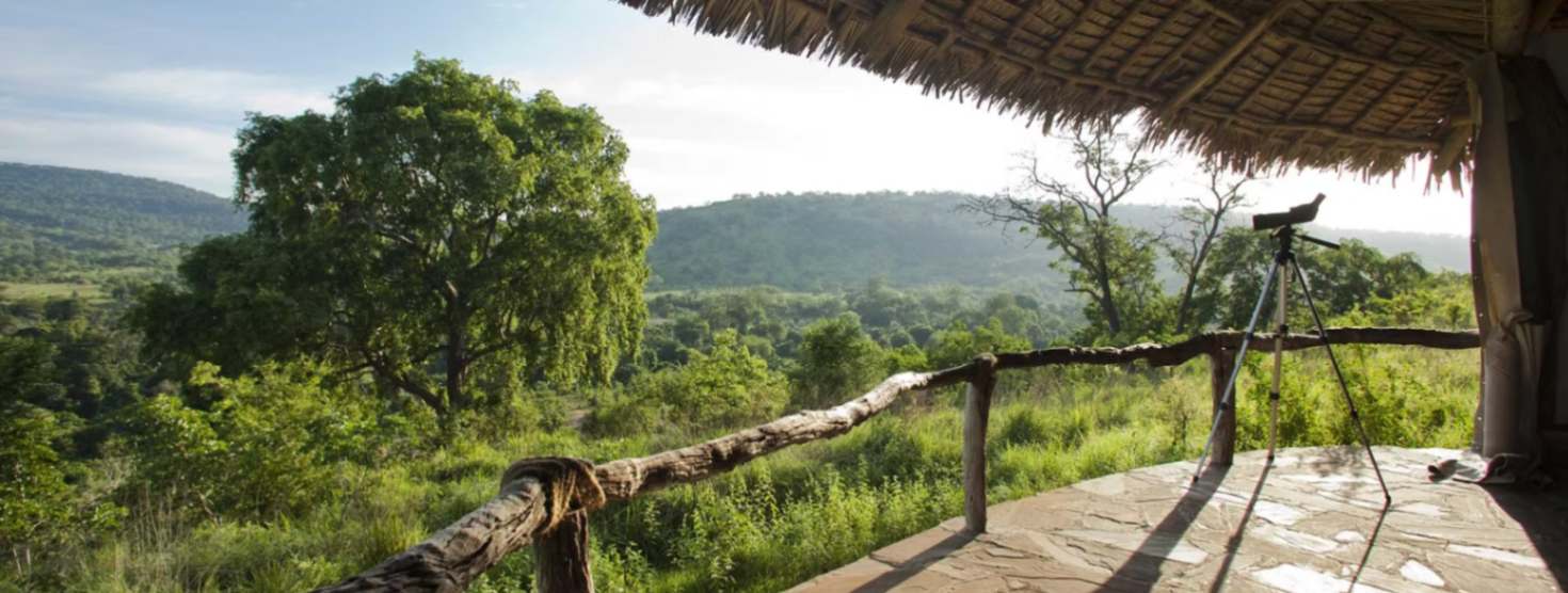 Beho Beho Camp image #7