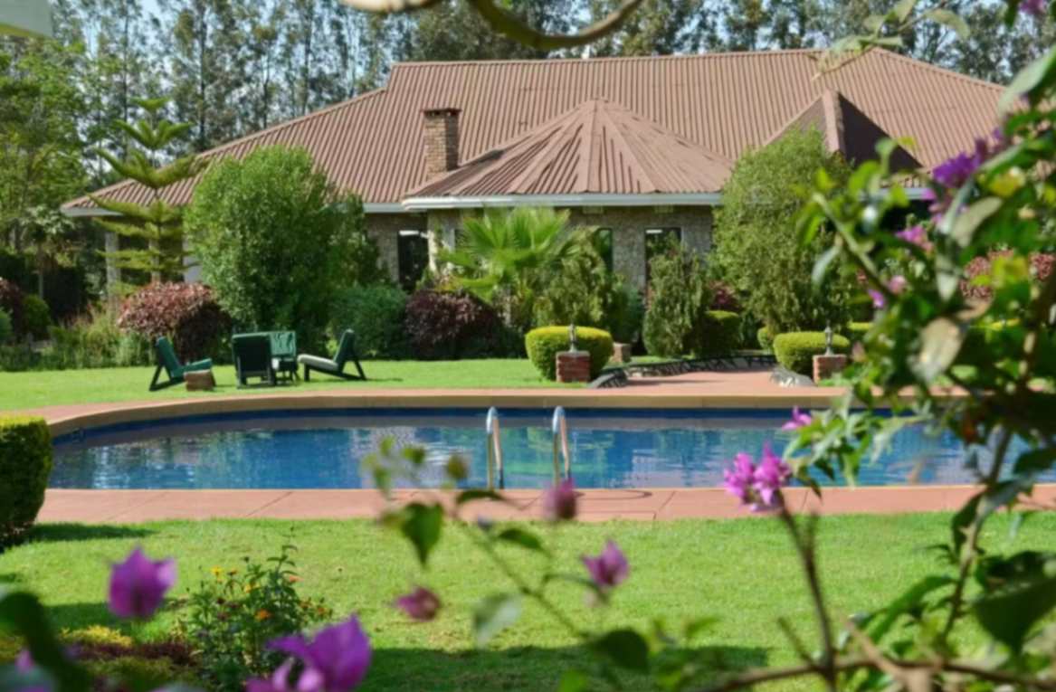 Bouganivillea Safari Lodge image #12