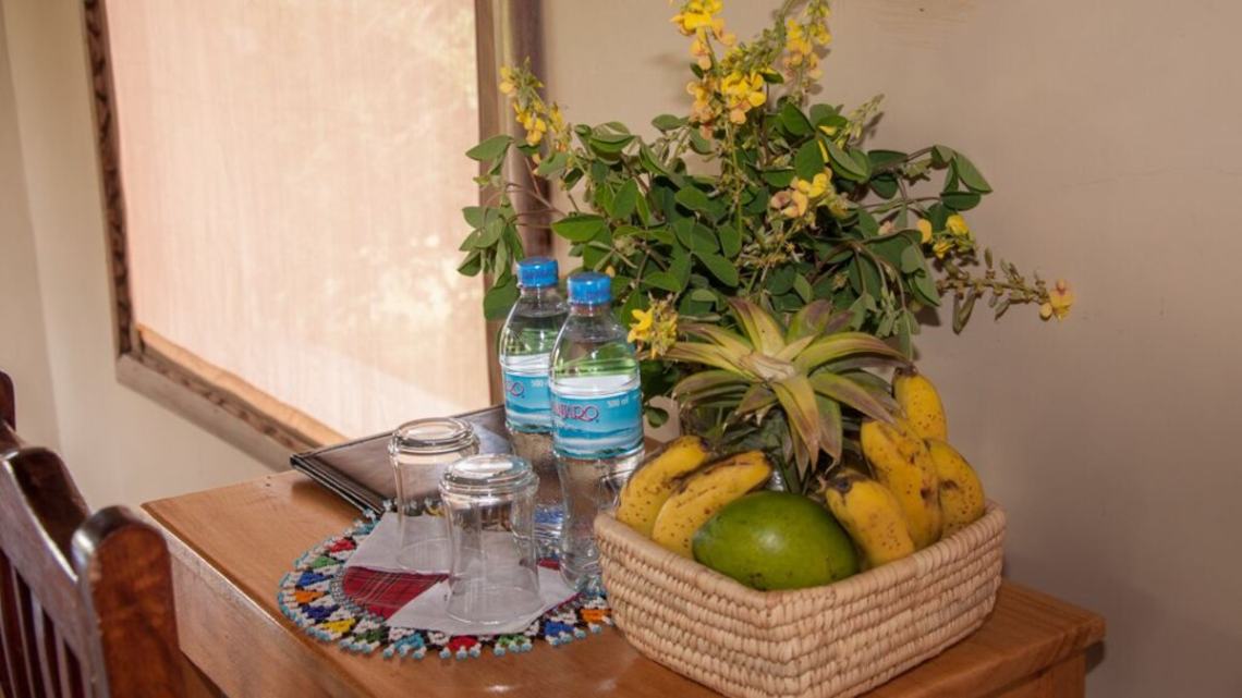 Burudika Manyara Lodge image #4