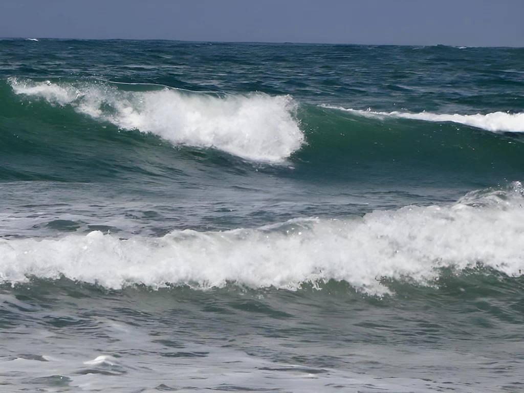 Changani Beach Cottages image #3