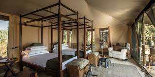 Chem Chem Safari Lodge image #8