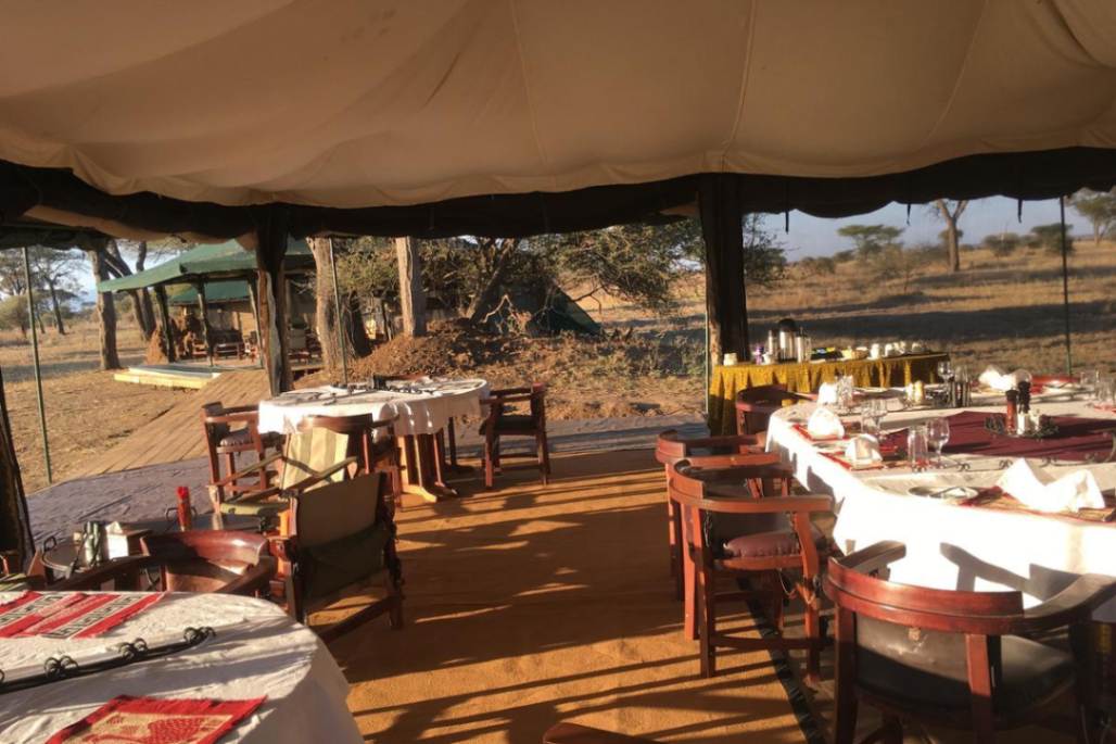 Corfield Tarangire Camp image #3