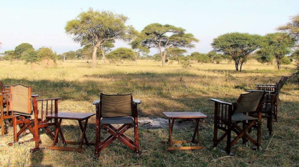 Corfield Tarangire Camp image #10