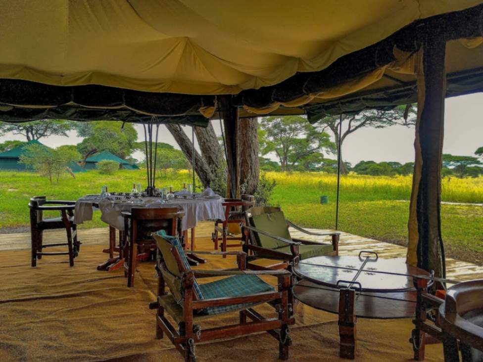 Corfield Tarangire Camp image #13