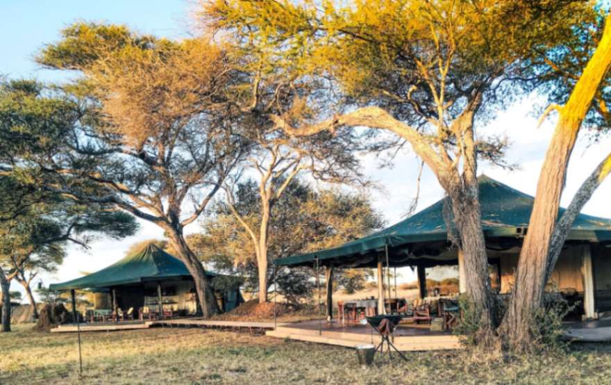 Corfield Tarangire Camp image #12