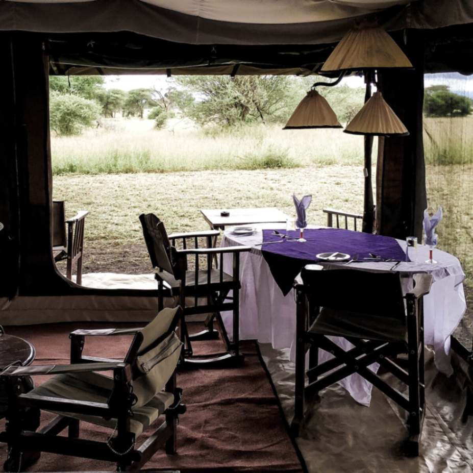 Corfield Tarangire Camp image #6