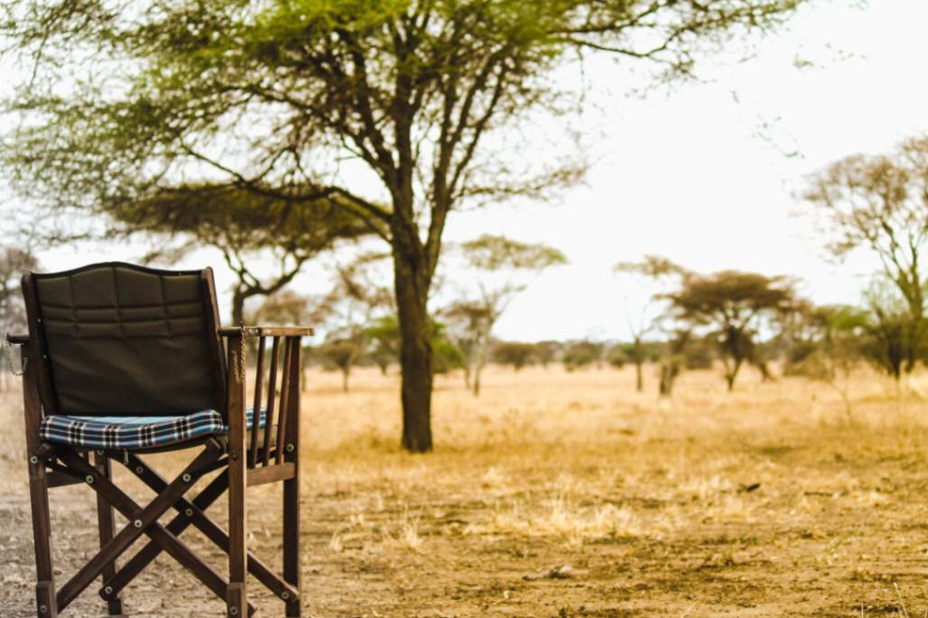 Corfield Tarangire Camp image #4