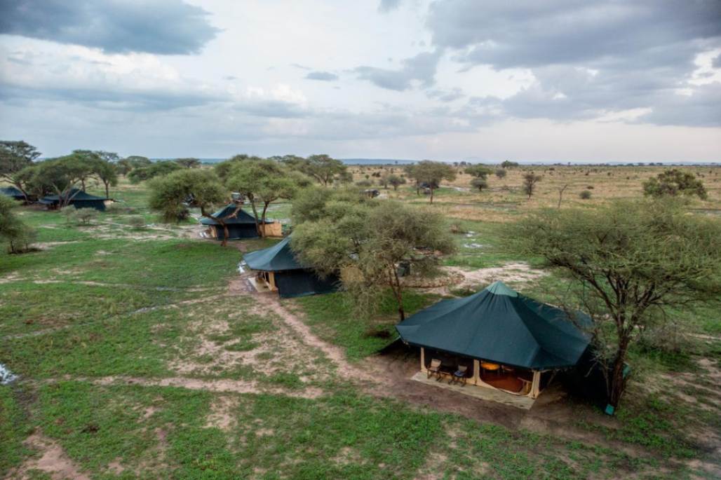 Corfield Tarangire Camp image #2