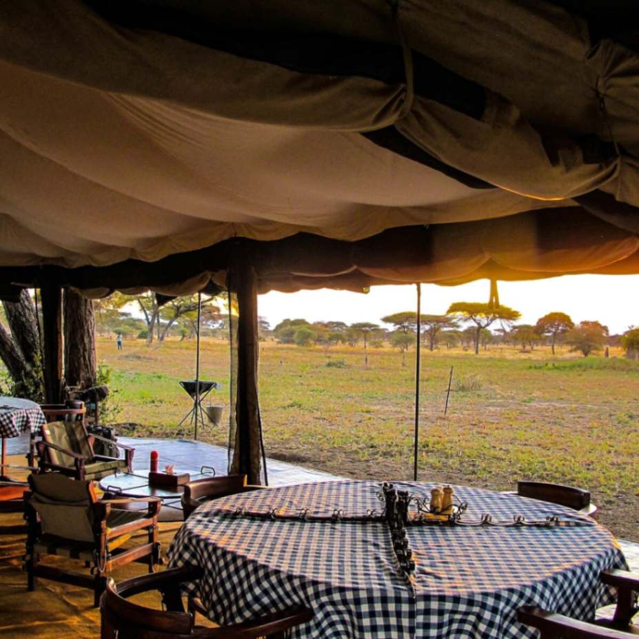 Corfield Tarangire Camp image #15