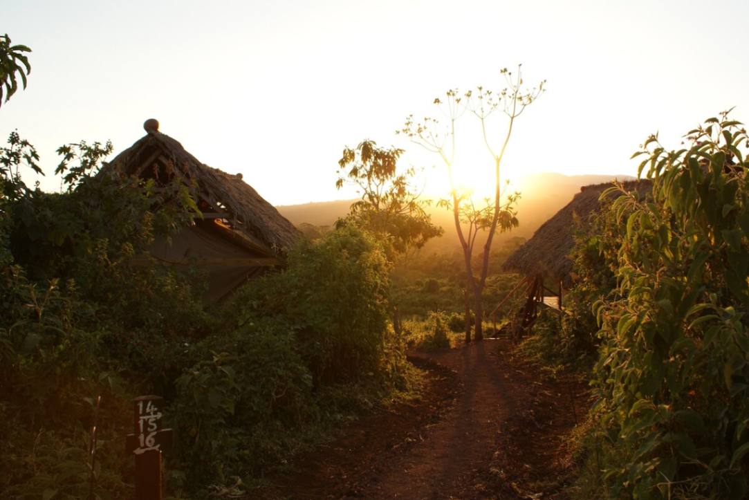 Crater Forest Tented Camp image #2