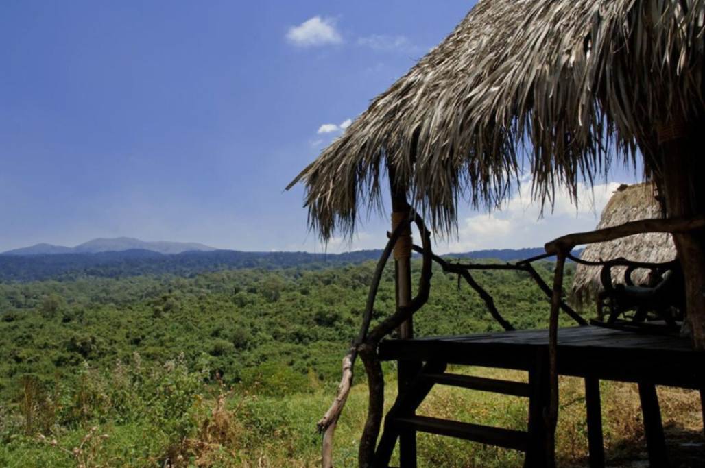 Crater Forest Tented Camp image #9