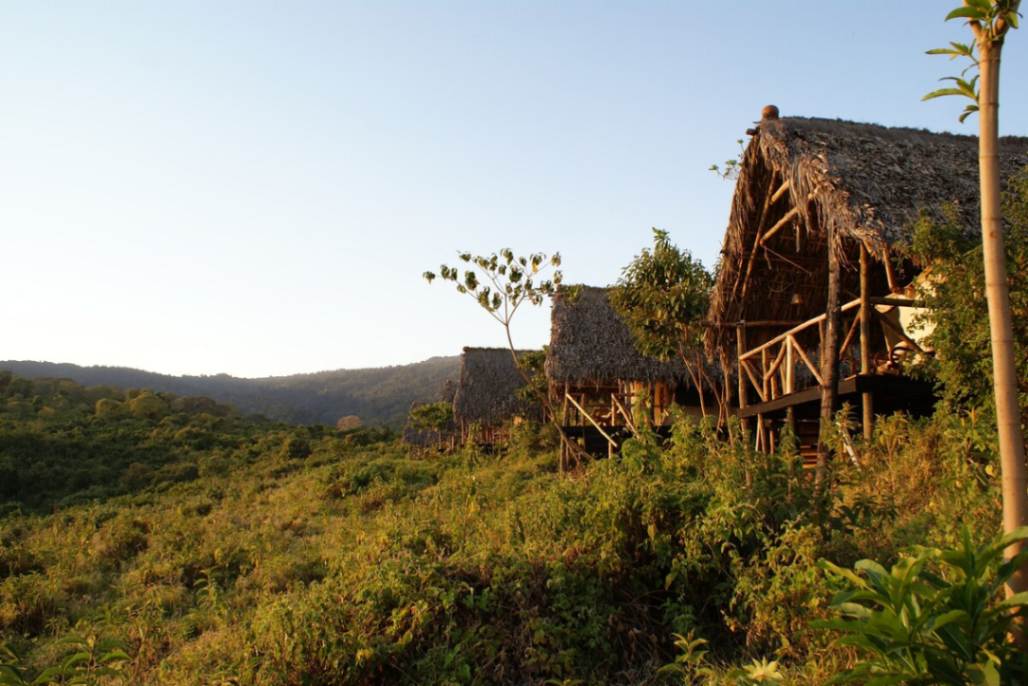 Crater Forest Tented Camp image #12