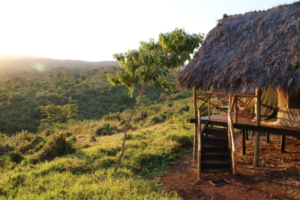 Crater Forest Tented Camp image #6