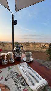Ecoscience  Luxury lodge image #13