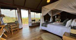 Ecoscience  Luxury lodge image #16