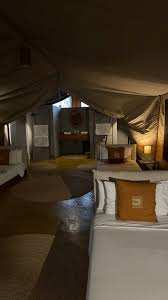 Ecoscience  Luxury lodge image #18
