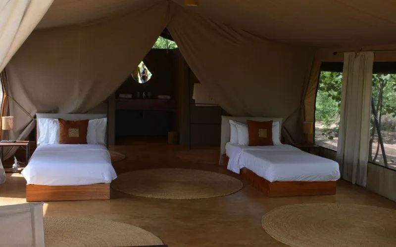 Ecoscience  Luxury lodge