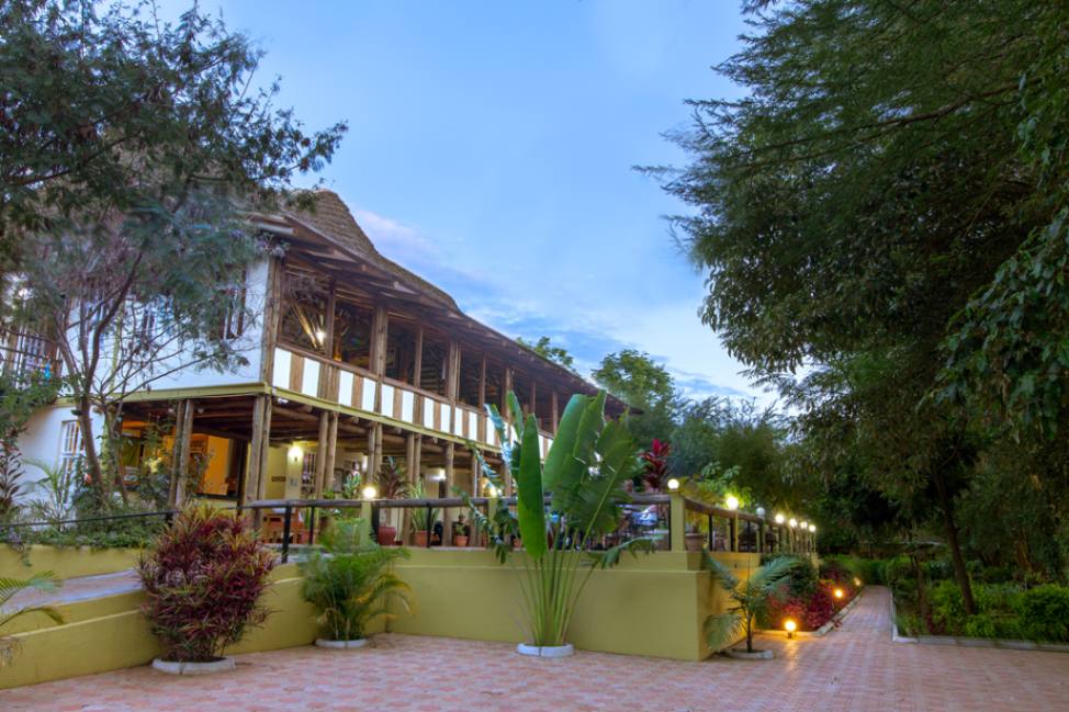 Eileens Trees Inn image #9
