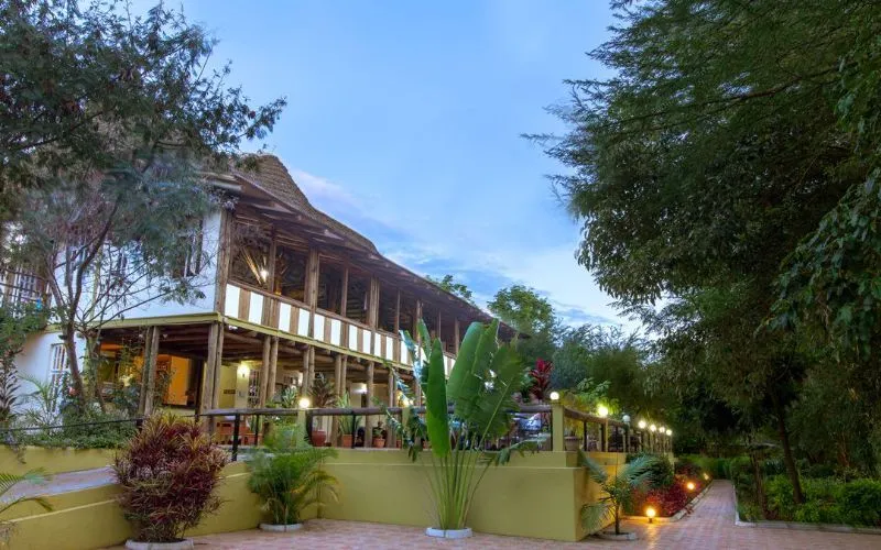 Eileens Trees Inn