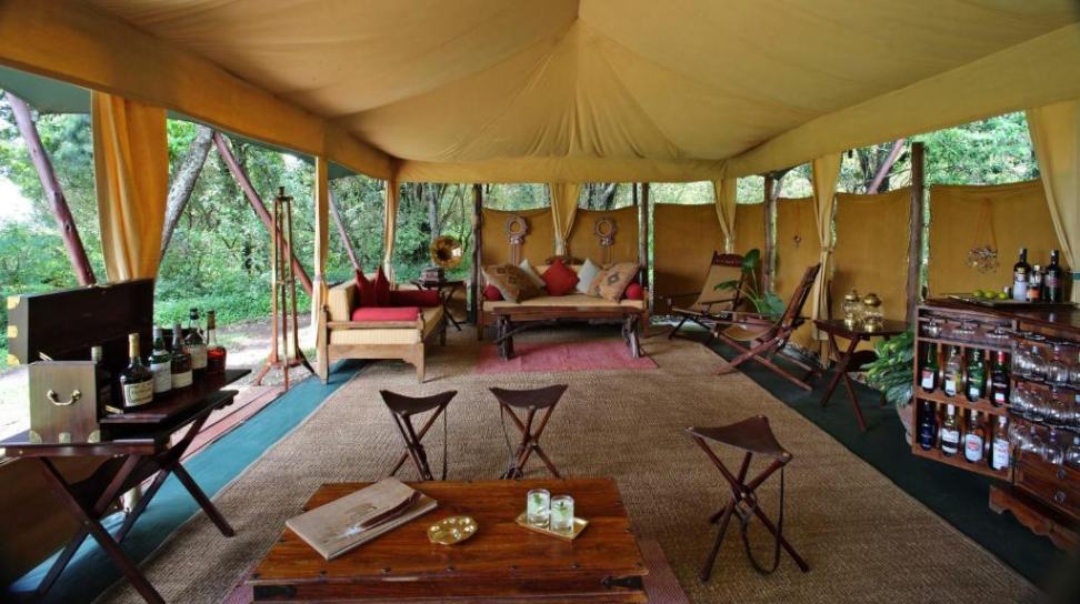 Elephant Pepper Camp image #14