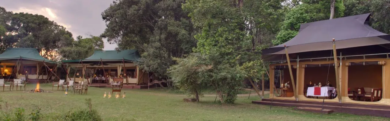 Elephant Pepper Camp