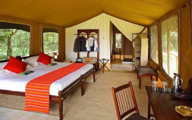 Elephant Pepper Camp