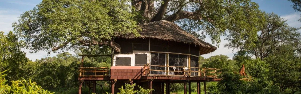 Elewana Tarangire Treetops