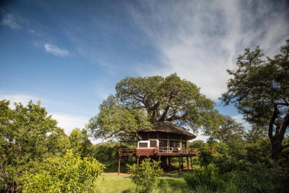 Elewana Tarangire Treetops image #4