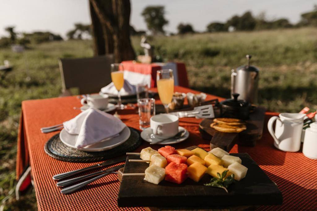 Elewana Tarangire Treetops image #16