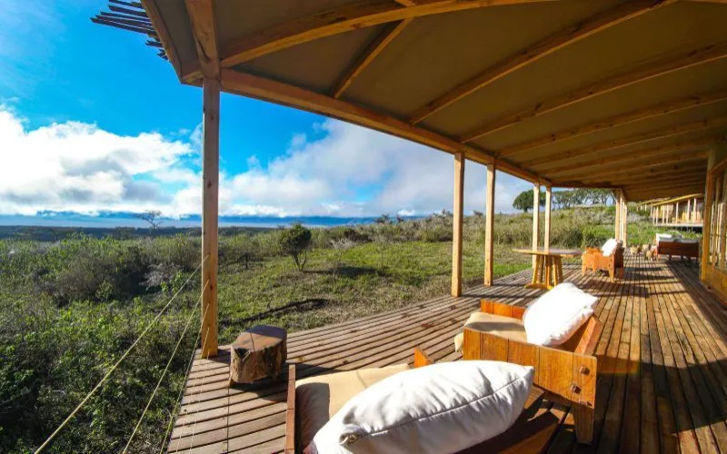 Entamanu Private safari camp