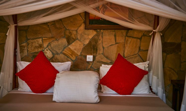 Enyati Lodge image #4