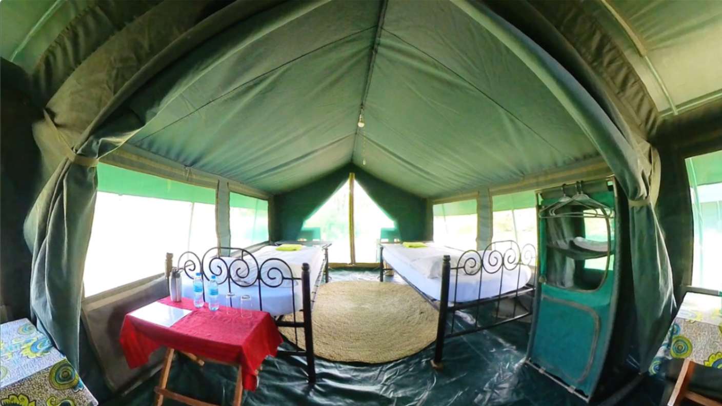 Flycatcher Lagarja Camp image #2