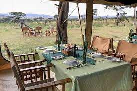 Flycatcher Ruaha Camp image #6
