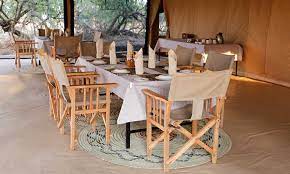 Flycatcher Ruaha Camp image #2
