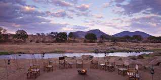 Flycatcher Ruaha Camp image #7