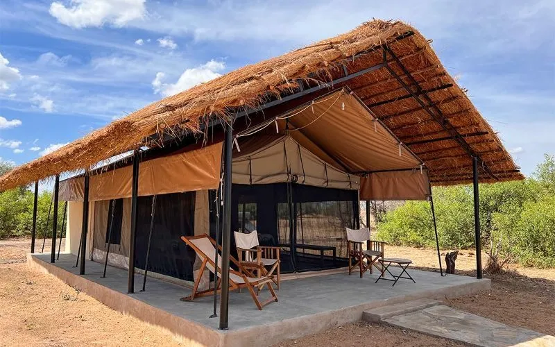 Flycatcher Ruaha Camp