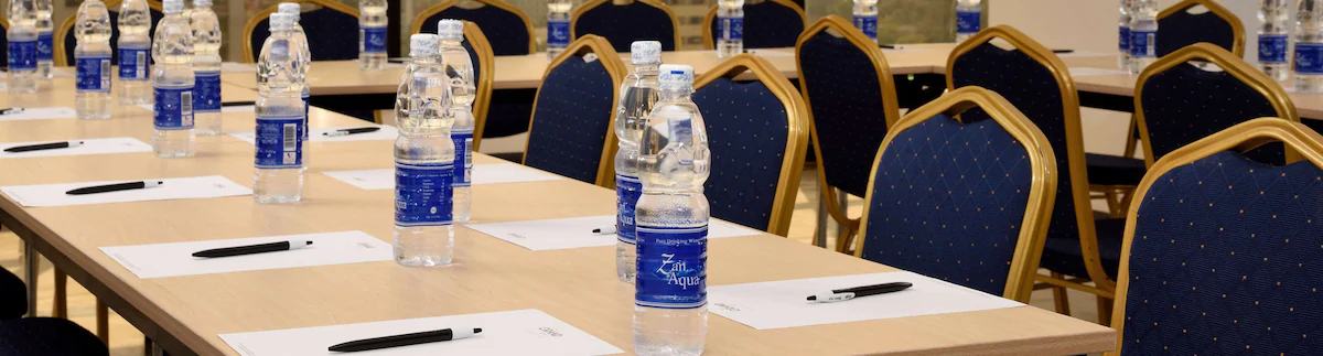 Golden Tulip Hotel image #12